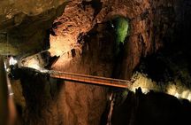 Lipica Stud Farm and Skocjan Caves from Piran or Portoroz or Izola