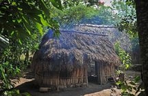 Mayan Backroads Private Bike Tour from Tulum