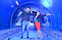 Official Account: Hurghada Grand Aquarium Entrance Tickets 