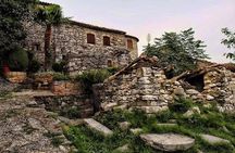 Flavours of Istria Tasting Experience from Koper