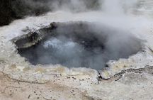 Rotorua and Waitomo Caves Day Trip from Auckland -Smaller Groups 