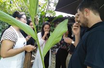 Thai Cooking Class