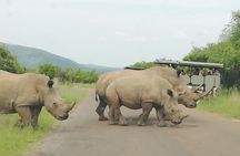  Pilanesberg Safari 3 Days 4 Star Private 