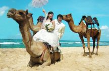 Camel Safari 30 minutes In White Sand Beach 