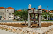 Ston Oysters & Wine Tasting Tour from Dubrovnik