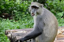 Lilongwe City Tour (full day)