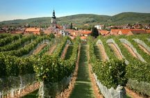Small Carpathian Wine Tour