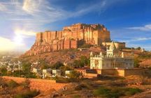 Private Half- Day Bishnoi Village Safari Day Tour In Jodhpur