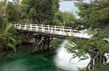 Bariloche San Martin de los Andes and Seven Lakes Road Tour