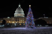 Holiday Lights Tour of Washington DC and Old Town Alexandria