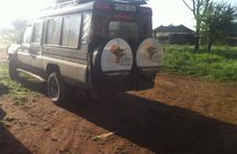 1 Daytrip Amazing to Ngorongoro Crater from Arusha or Moshi