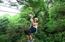 Eco-Adventure Park Premium Day Pass 