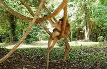 2-Day Angkor Wat Tour from Bangkok