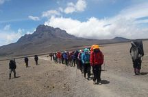 7 Days Mount Kilimanjaro Climb Lemosho Route