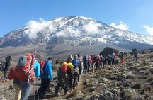 7 Days Mount Kilimanjaro Climb Lemosho Route
