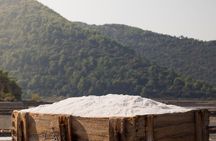 Wine Lover's Tour of Peljesac Peninsula