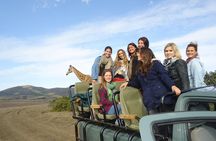 3 Day Big 5 and Bungee Tour - Garden Route Small Group Tour from Cape Town