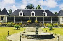 Mauritius Tea Route - Full Day 