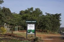 Urban Forest Tour in Nairobi