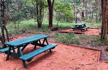Urban Forest Tour in Nairobi