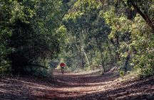 Nairobi Day Tour to Karura Forest Hike, Trail Bike & Nature Walk