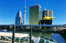 Tokyo Customizable Highlight Tour With A Licensed Private Guide