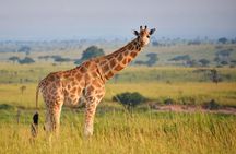 6-day Hwange, Chobe & Victoria Falls Combo