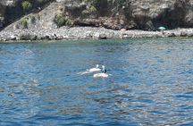 Snorkeling Tour from Catania