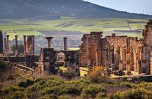 Private excursion of Volubilis and Meknes from Fes