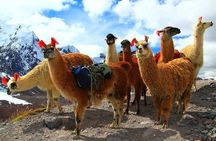 Inca Hot Spring Day Tour