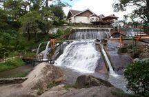 The Brazilian Switzerland - Day Trip on Campos do Jordão from São Paulo