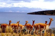 Peru Rainbow Mountain to Puno Tour - Vinicunca with Puno Drop-off