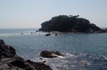 3 Beaches Hiking Santo Amaro Island - Paradise Route Tour from São Paulo