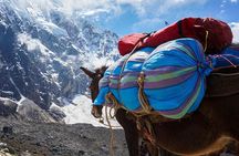 Salkantay Trek to Machu Picchu (4 Days)