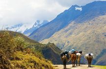 Salkantay Trek to Machu Picchu (4 Days)