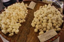 Half-day Silk Weaving Discovery In Hoi An