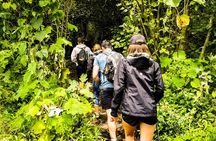Santa Ana Volcano Hike Tour from Surf City