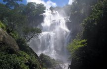 UDZUNGWA NATIONAL PARK AND WATERFALLS - 3 Days 