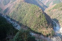 Iya Valley BROMPTON Slow Cycling Tour