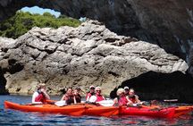 Private tour: Sea Kayaking & Snorkeling to Green Cave on Sipan island from Lopud