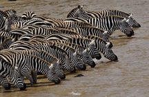 3 Day Maasai Mara Adventure