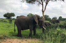MANYARA & TARANGIRE - 4 Days