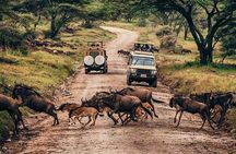 MANYARA & TARANGIRE - 4 Days