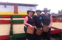 Coffee Plantation in Jardin and City sightseeing Tour