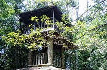 Kanneliya Rain Forest Tour