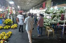 Taco Night Private Food Tour in Mexico City
