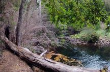 Bella Vista Trekking Full Day Experience