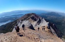Bella Vista Trekking: Panoramic Andes & Lake Moreno Views