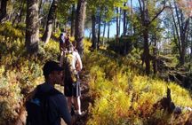 Bella Vista Trekking Full Day Experience
