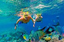 Fun Catamaran Snorkeling Party, Sightseeing & Transportation